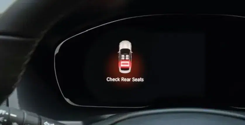 Rear Seat Occupant And Seatbelt Reminders
